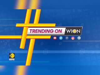 Trending On WION: Pakistan zoo set to auction off 12 Lions