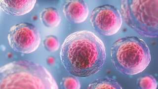 Research on ‘molecular drills’ of skin cancer cells gives hope for a cure
