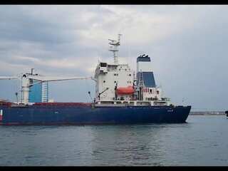 Ships depart from Ukraine port with grains