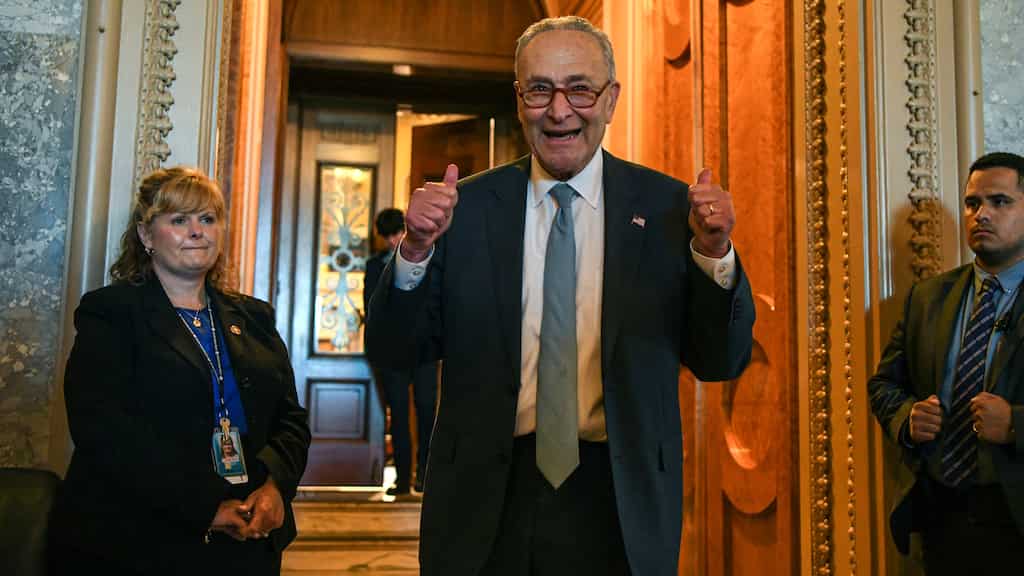 US Senate passes Democrats' sweeping climate, health and tax bill