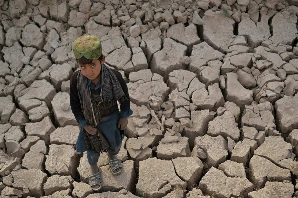 WION Climate Tracker | Crippling dry spell grips war-torn Afghanistan