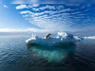 Glaciers are melting at record rate in Alps, scientists worry about irreversible loss