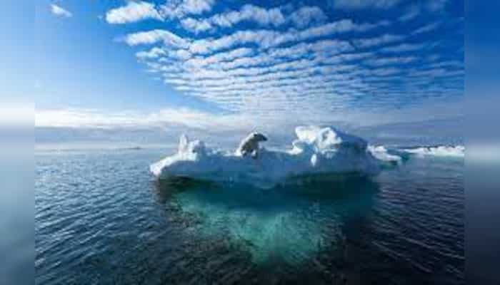 Glaciers are melting at record rate in Alps, scientists worry about irreversible loss