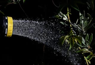 Hosepipe ban begins in parts of southern England to protect river habitats