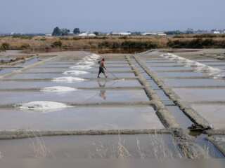 WION Climate Tracker | Salt farmers emerge reluctant winners of France's drought
