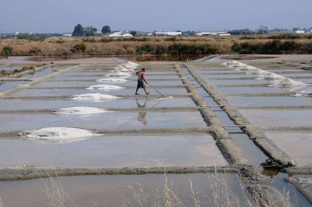 WION Climate Tracker | Salt farmers emerge reluctant winners of France's drought