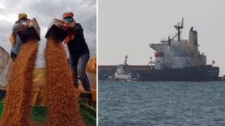 Explainer: How to crease out Ukraine grain deal to ease global food crisis