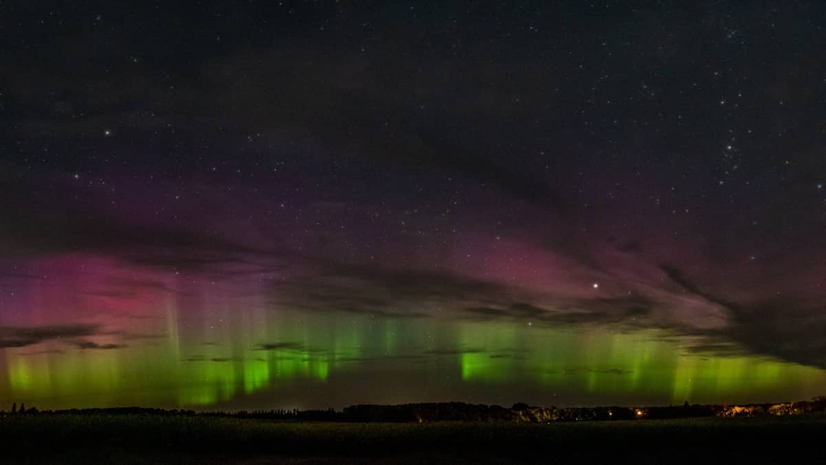 Shimmers of purple and green