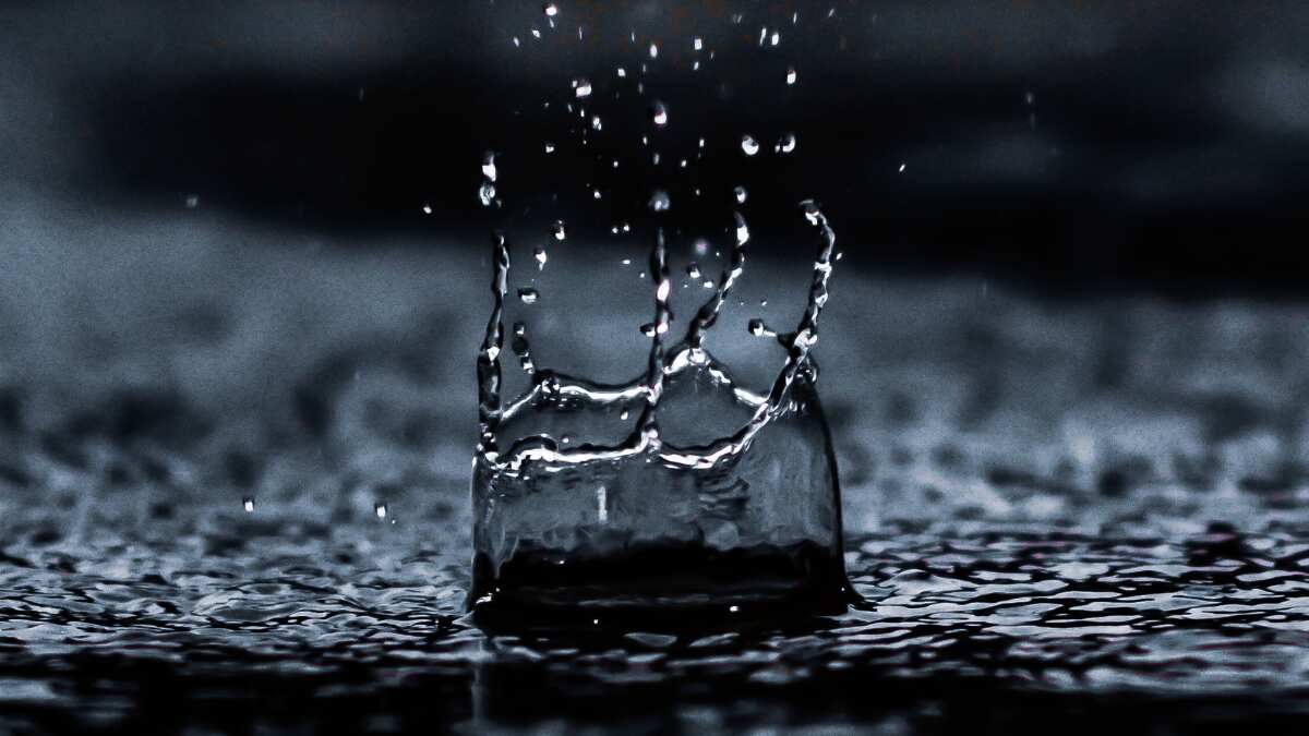 New study reveals drinking rain water is unsafe Science News