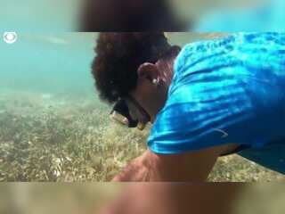 WION Climate Tracker | Fiji fisherwomen struggle to find Nama seaweed essential in Fijian diet