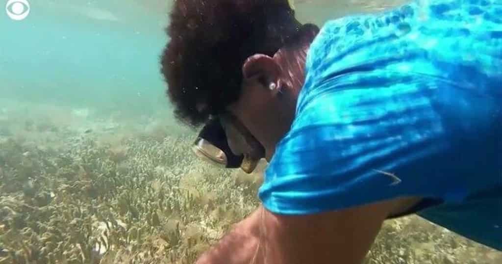 WION Climate Tracker | Fiji fisherwomen struggle to find Nama seaweed essential in Fijian diet