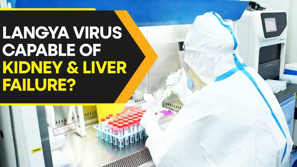 What is Langya Henipavirus that has infected 35 people in China?