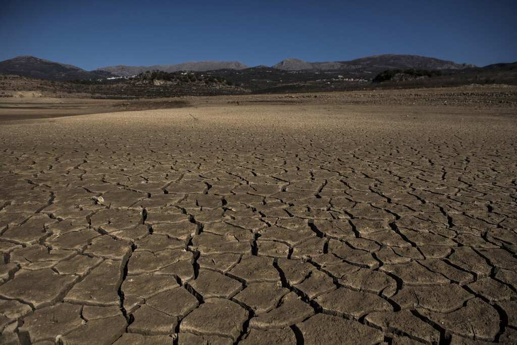 WION Climate Tracker | Over 64% of Europe faces drought; UK faced driest July in over 20 years
