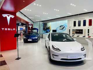 WION Fineprint: Is Elon Musk using the Twitter deal as a ploy to dump Tesla shares?