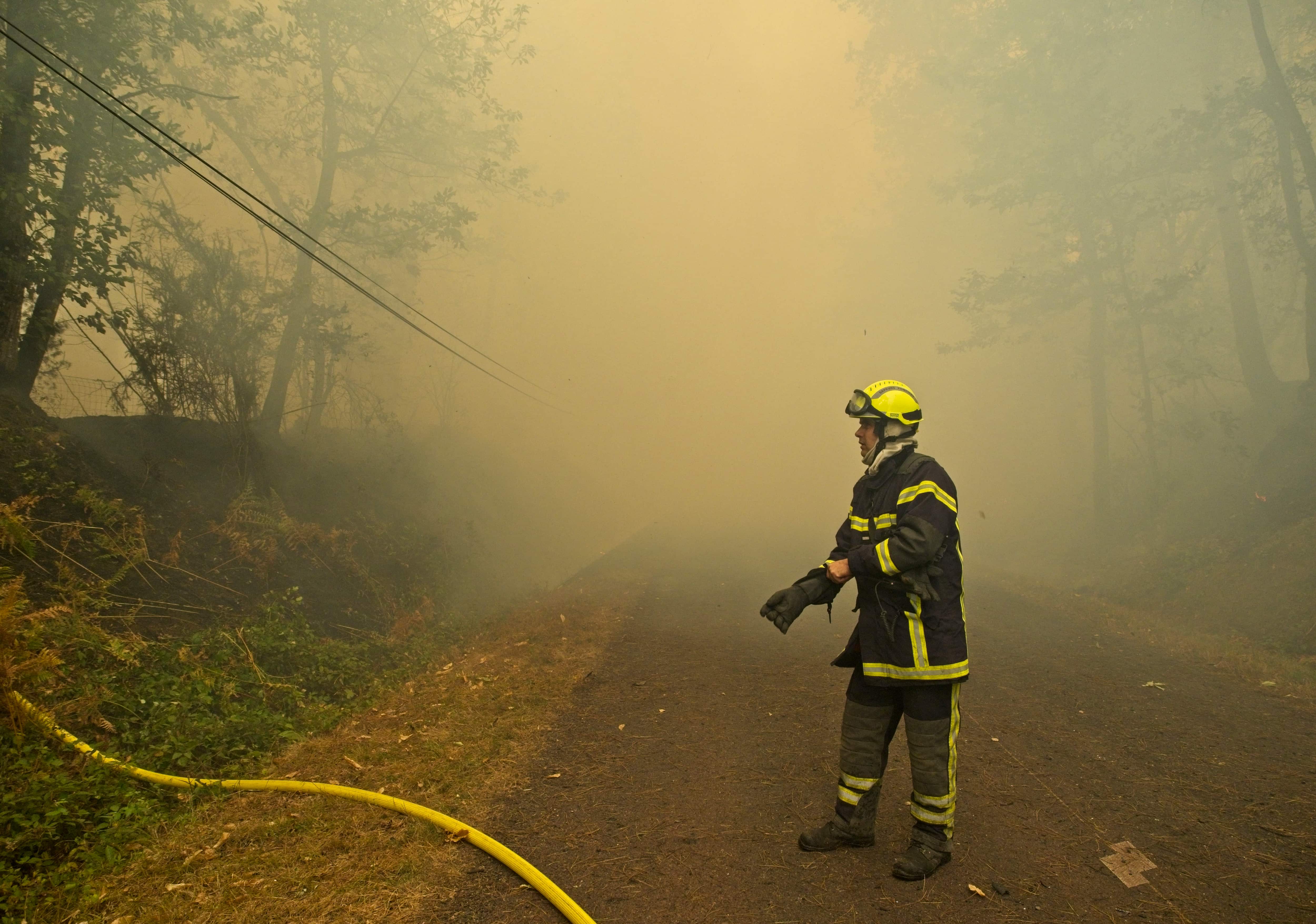 More than 57,200 hectares torched
