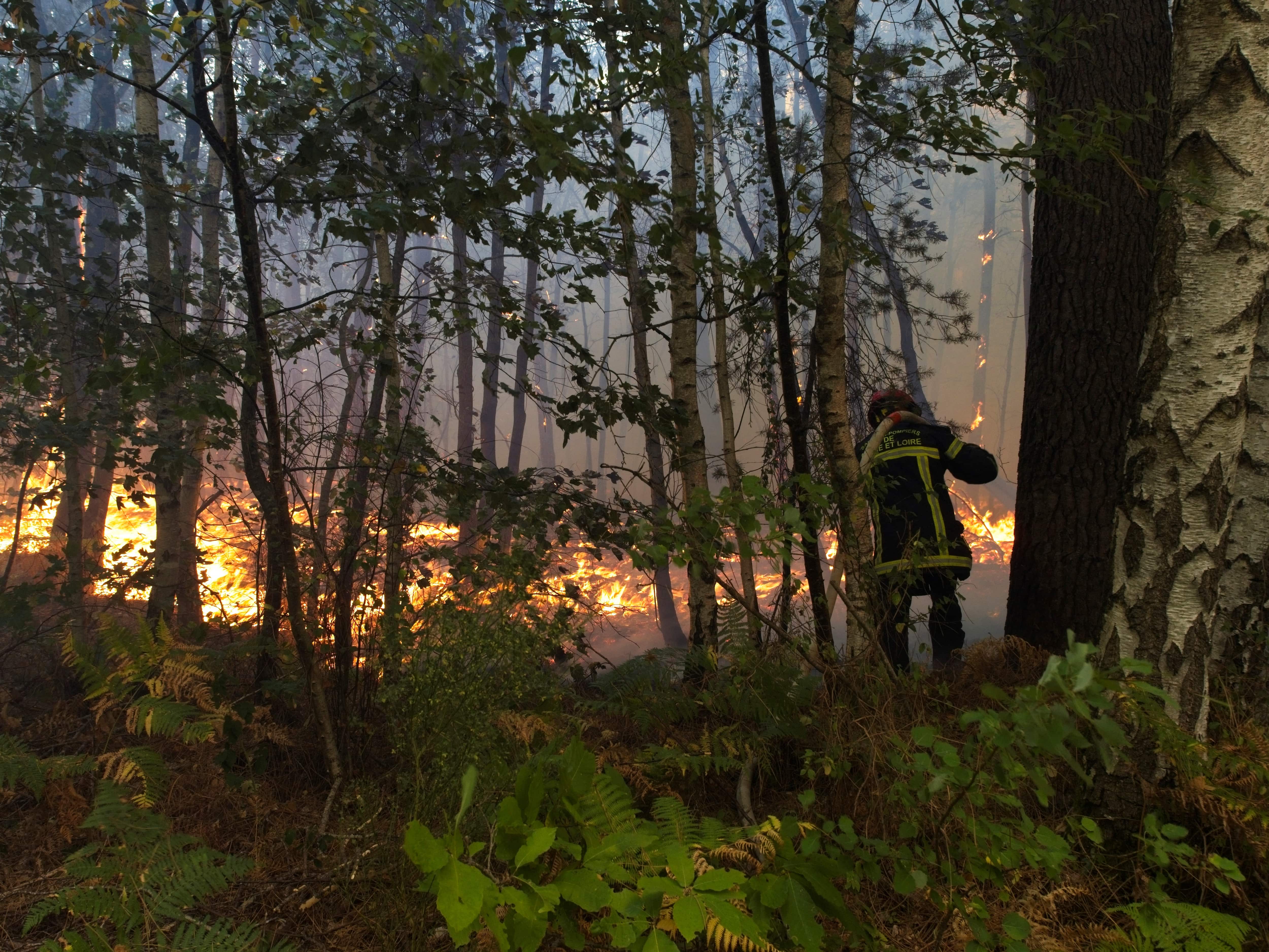Multiple wildfires causing the damage