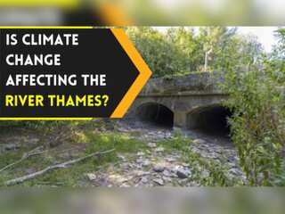 Is River Thames going to run dry amid Drought fears in Britain?