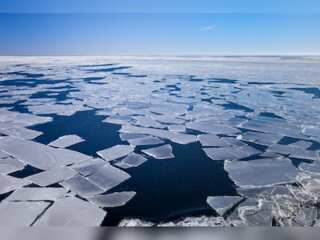 WION Climate Tracker| Study: Arctic heating up 4 times faster than rest of earth