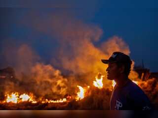 WION Climate Tracker| Why is the Amazon rainforest burning?