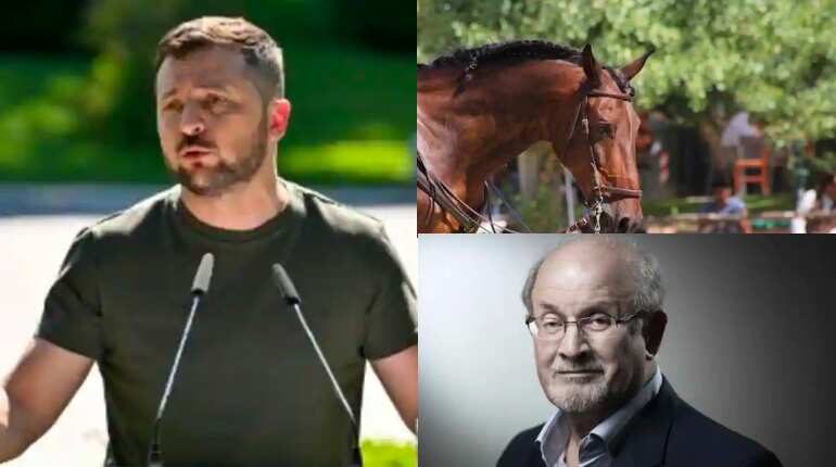 Top 10 news: Stop sharing Ukraine's military tactics, says Zelensky, Salman Rushdie attacked, and more