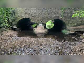 WION Climate Tracker| UK: Source of Thames river dries up; England faces drought like conditions