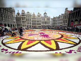 Flower carpet festival opens in Brussels: This year marks the 50th anniversary of the festival