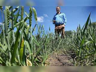 The UK declares drought in parts of England; Drought poses a risk of crop failure in the UK