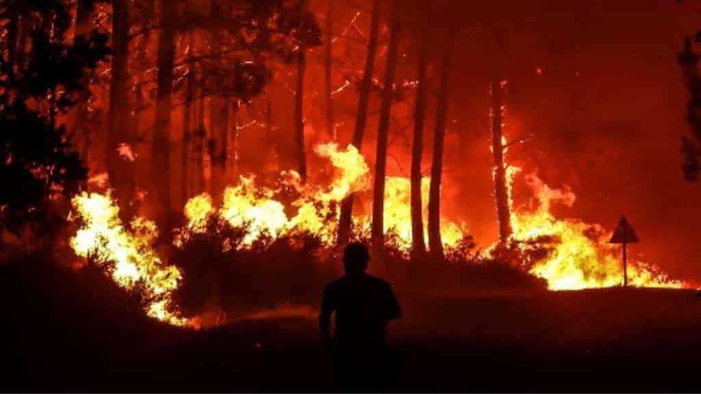 Climate change in 2022 brings unprecedented fire activity in SW Europe, record wildfire carbon output globally