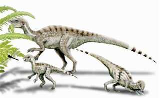 Tiny cat-sized dinosaurs walked over China 100 million years ago; probably had spikes on their tail