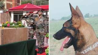 Indian Army dog Axel, killed during anti-terror op, to be conferred highest gallantry award
