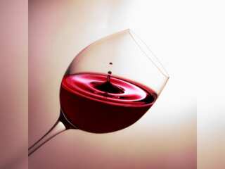 WION Climate Tracker | UK to become prime wine growing region as temperature rises