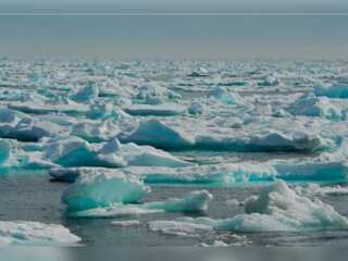 WION Climate Tracker | Study: Rain could replace snow in Arctic