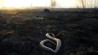 Amid drought conditions, US to cut water supplies for some states, Mexico; California remains unaffected