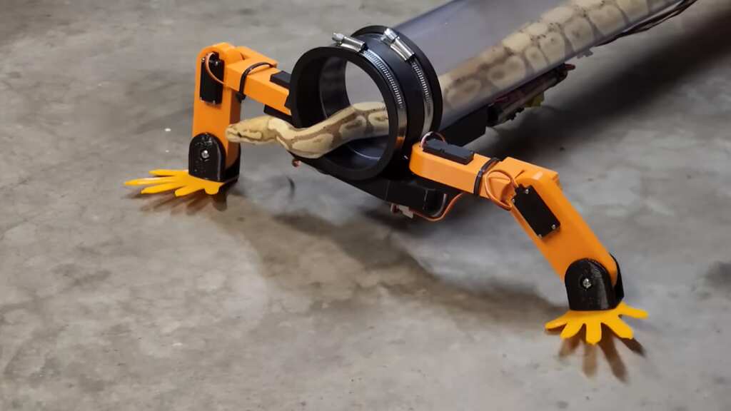 ‘Giving snakes their legs back’: YouTuber gives snakes robotic legs to walk, netizens surprised