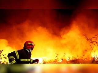 WION Climate Tracker: Multiple fires grip Spain's Valencia; 15,000 hectares turn into charred land