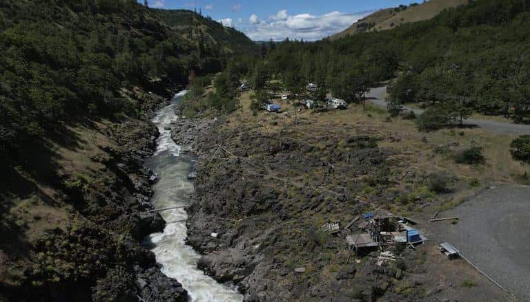 WION Climate Tracker: Warming temperature threatens Salmon in Columbia river
