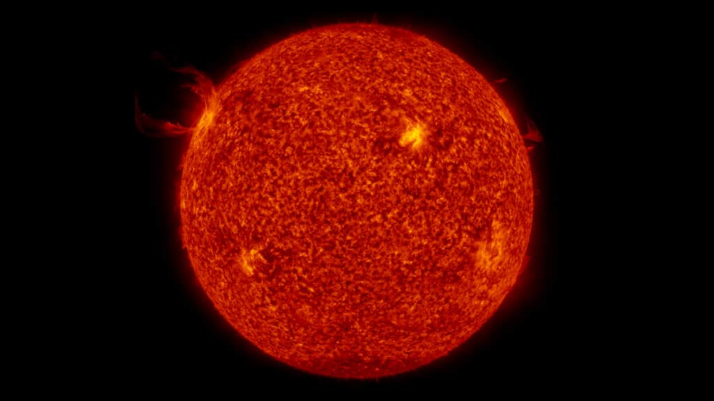 WION Fineprint | Stellar Mid-life Crisis: When will the Sun die?