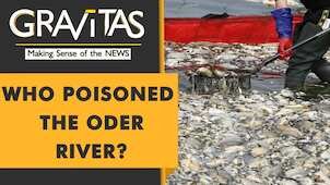 Gravitas: 100 tonnes of dead fish pulled out of Europe's Oder river