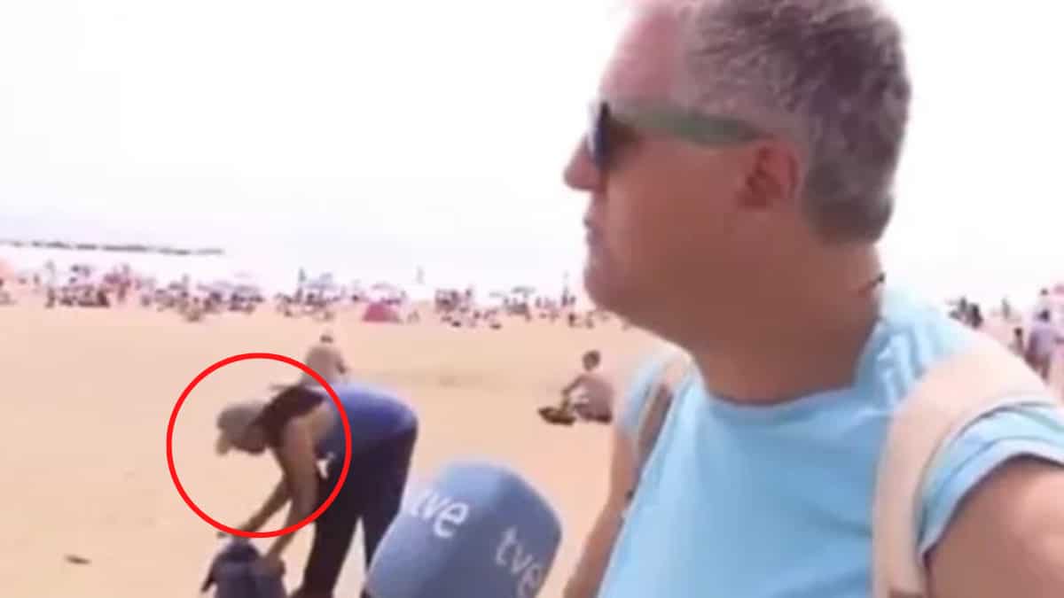 Oops, busted! Bag thief in Barcelona caught stealing live on TV - Watch Oops, busted! Bag thief in Barcelona caught stealing live on TV - Watch