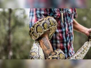 WION Climate Tracker: Burmese pythons invade Florida wetland; wildlife commission hires hunter