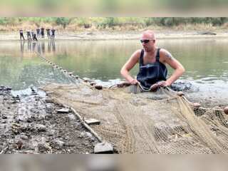 WION Climate Tracker: Dutch govt feeds fresh water into drought-hit Rhine river
