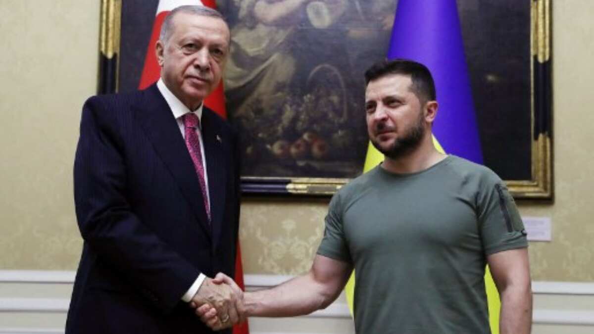 Erdogan says Turkey stands 'on the side of Ukraine', warns of 'another' Chernobyl Erdogan says Turkey stands 'on the side of Ukraine', warns of 'another' Chernobyl