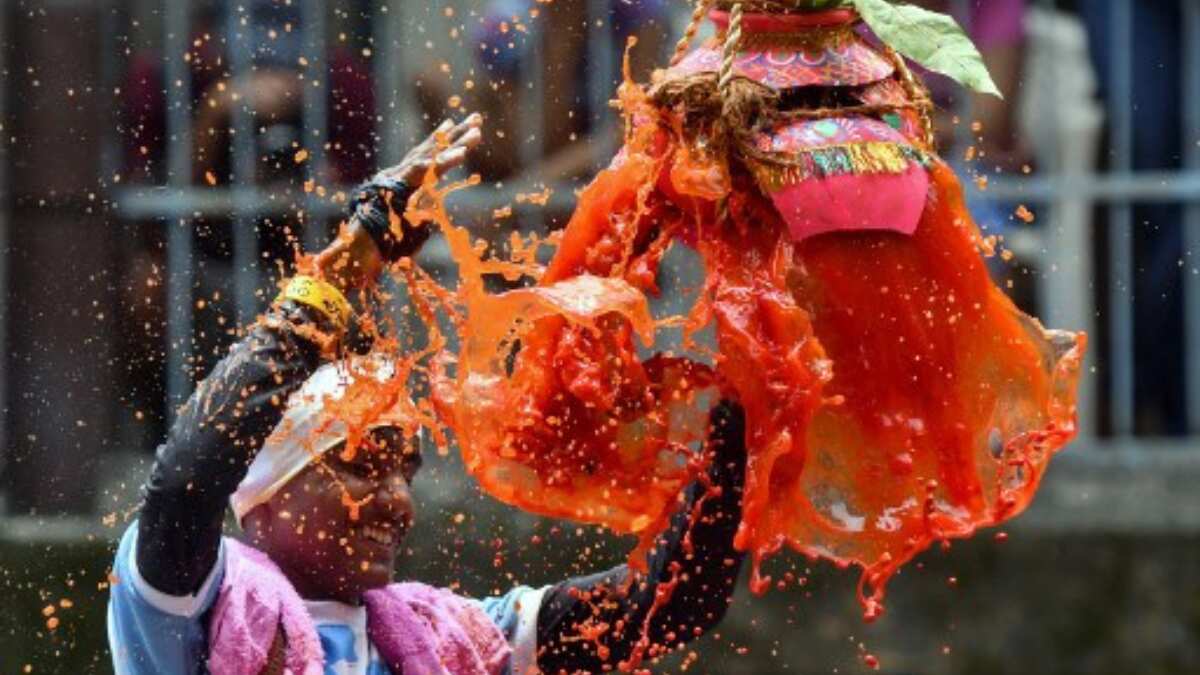 ‘Dahi Handi’