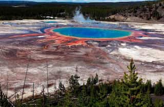 Scientists find ancient giant viruses in Yellowstone's hot springs