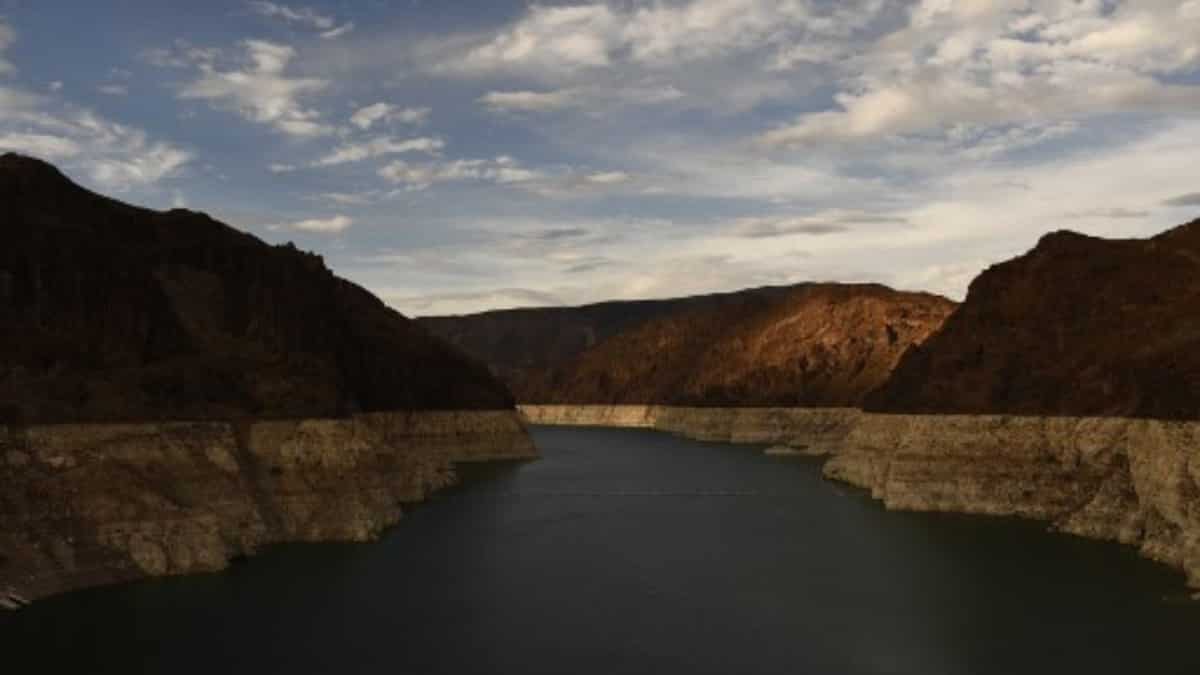 Lake Mead mob murder: Gun found near site of barrel with body Lake Mead mob murder: Gun found near site of barrel with body