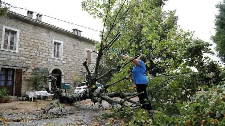 WION Climate Tracker: Powerful storms kill 12 in Europe