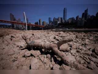 WION Climate Tracker | Reports: 66 rivers dries up in China; dry spell to last till September
