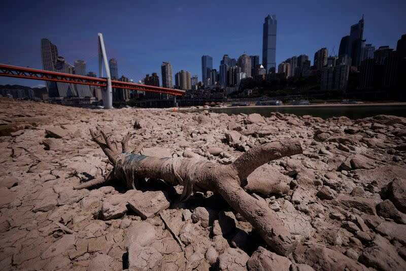 WION Climate Tracker | Reports: 66 rivers dries up in China; dry spell to last till September
