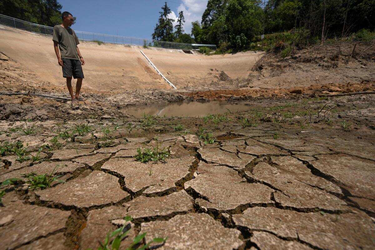 Wion Climate Tracker China S Farmers Struggle To Save Crops As Wion Climate Tracker China S Farmers Struggle To Save Crops As