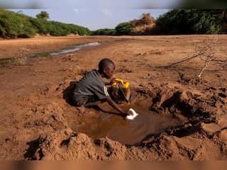 WION Climate Tracker | Historic drought in Horn of Africa raises famine threat
